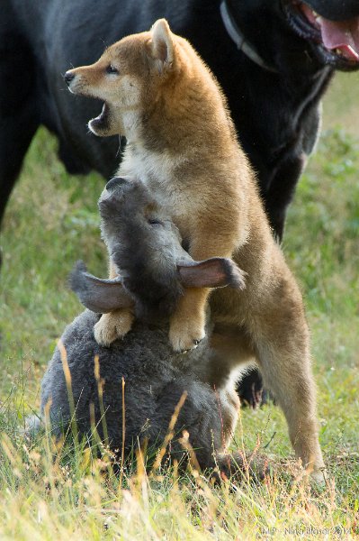 2014-07-17 Cherry & Friends-8095.jpg